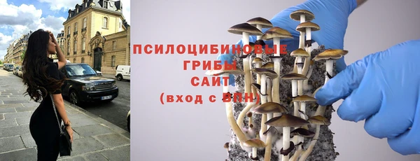 ECSTASY Осинники