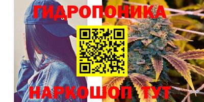 спайс Нальчик