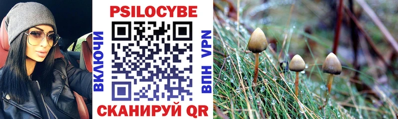 Галлюциногенные грибы GOLDEN TEACHER  купить   Прокопьевск 
