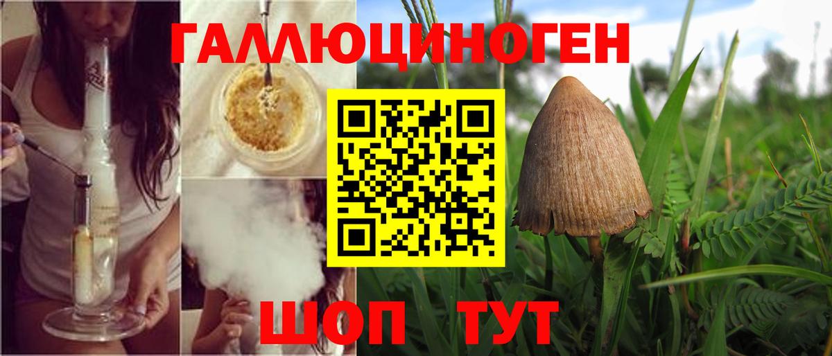 Псилоцибиновые грибы Psilocybe  Вход с VPN  Прокопьевск 