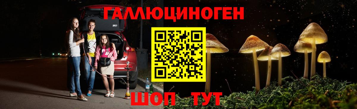 Псилоцибиновые грибы Psilocybine cubensis  Вход с VPN  Прокопьевск  Псилоцибиновые грибы Psilocybe 