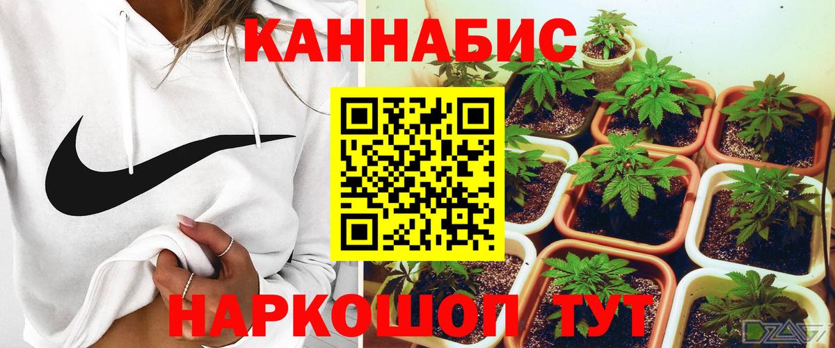 Бошки Шишки LSD WEED  Конопля MAZAR  Марихуана тримм  Прокопьевск  Вход с VPN  Каннабис THC 21% 